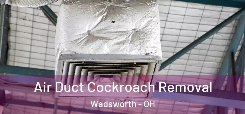  Air Duct Cockroach Removal Wadsworth - OH