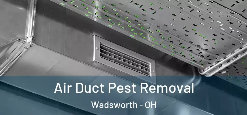 Air Duct Pest Removal Wadsworth - OH