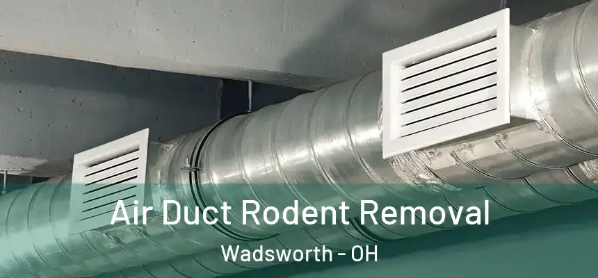 Air Duct Rodent Removal Wadsworth - OH