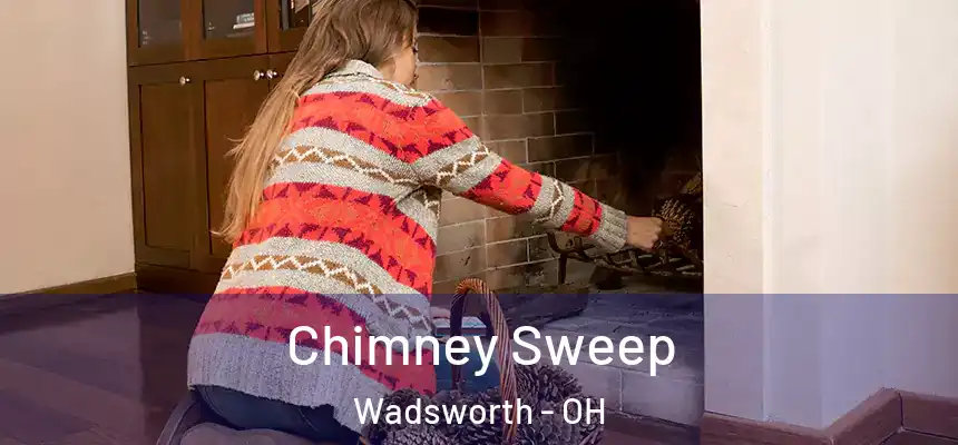  Chimney Sweep Wadsworth - OH