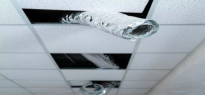 Our Air Duct Pet Hair Removal Services in Wadsworth, OH