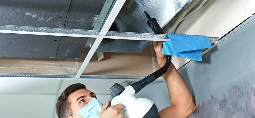 Our Air Duct Rodent Removal Services in Wadsworth, OH