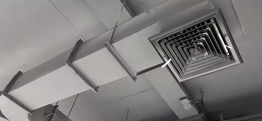 Restorative Allergy Relief Vent Cleaning – Coil, Blower & Housing Detail in Wadsworth