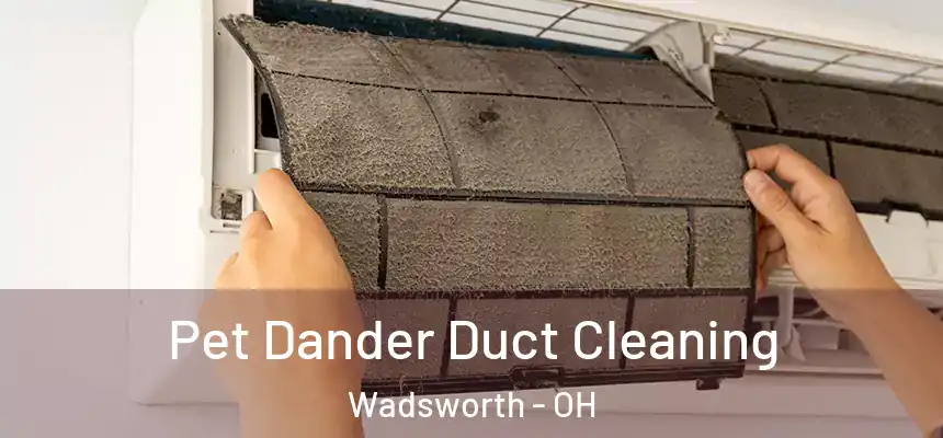 Pet Dander Duct Cleaning Wadsworth - OH