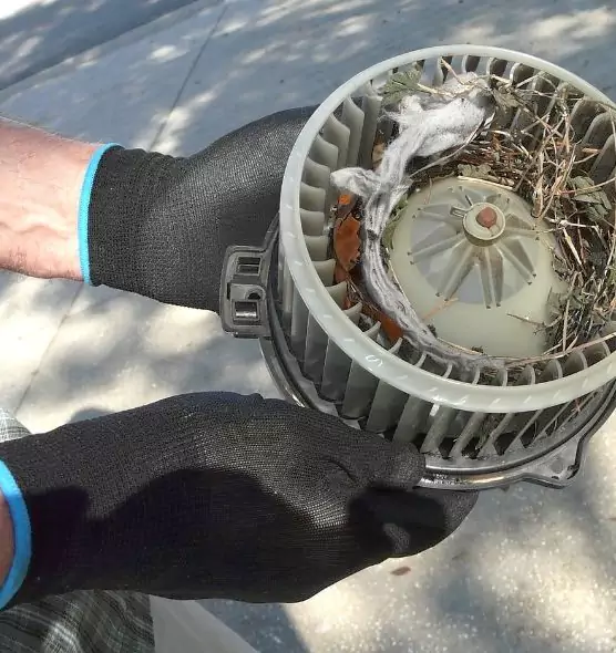 About Air Duct Mice Removal in Wadsworth, OH