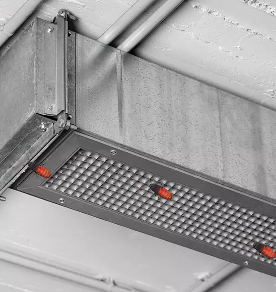 Affordable Insect Removal from Air Ducts in Wadsworth, OH