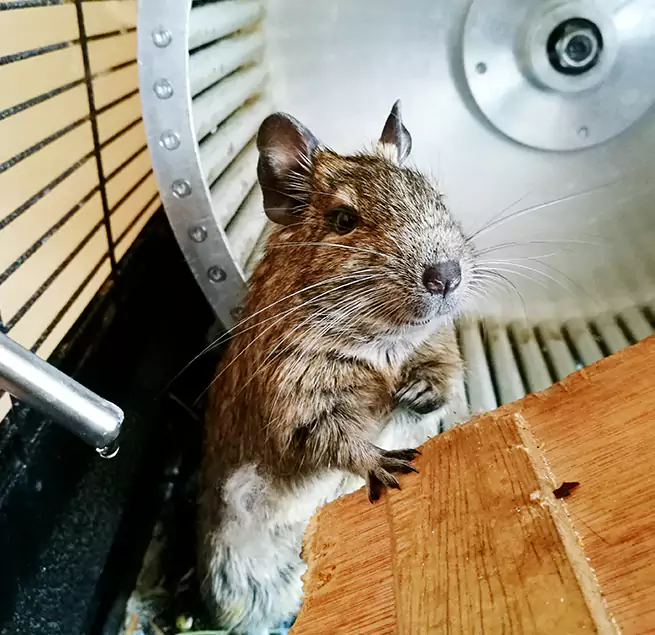 Why Homeowners & Businesses Trust Us Wadsworth, OH